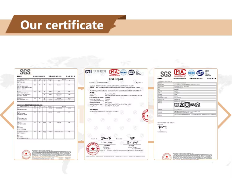 1750401833348461.jpg 证书.jpg