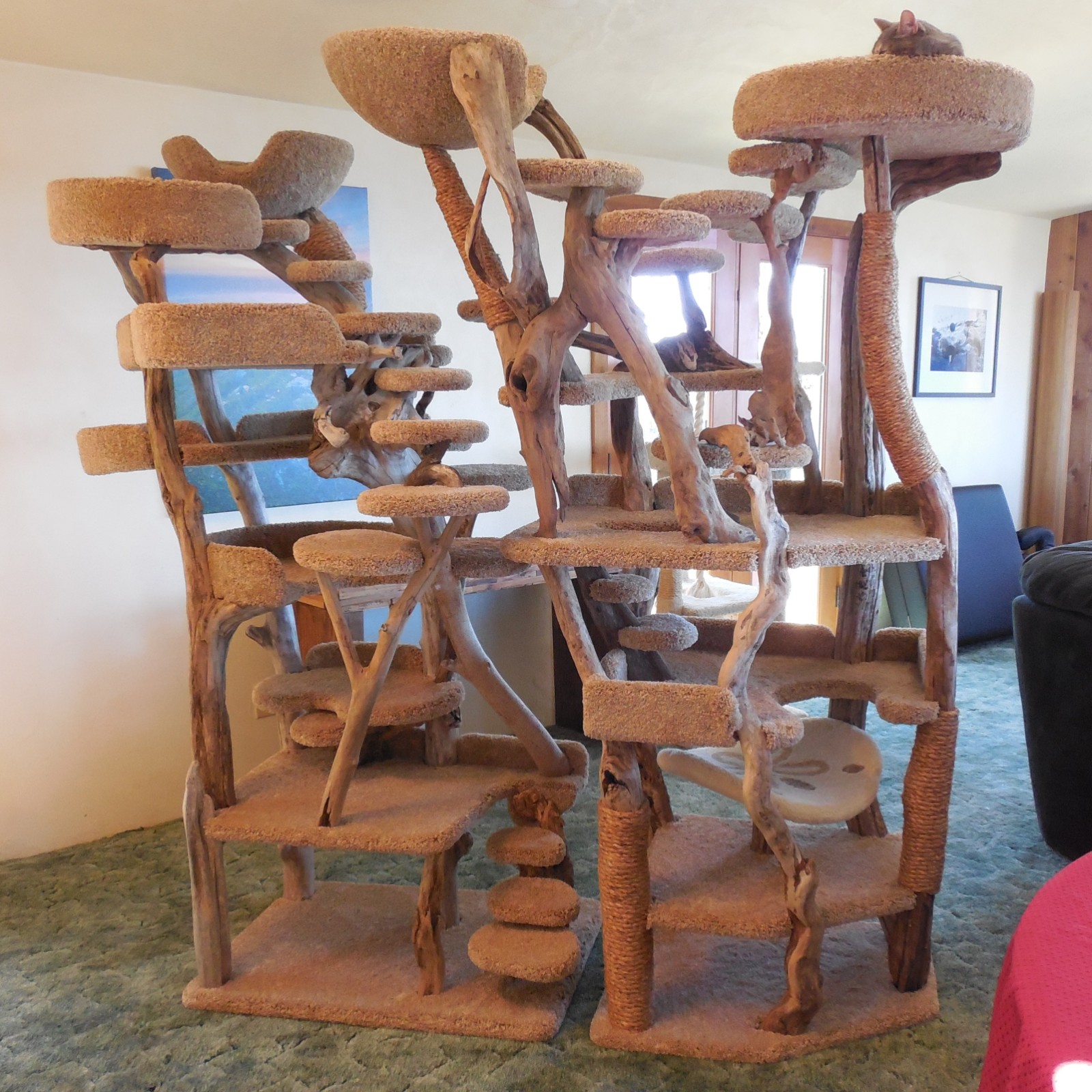 AIKUN Cat Tree Furniture Condos For Cats And Kittens Gray Platform