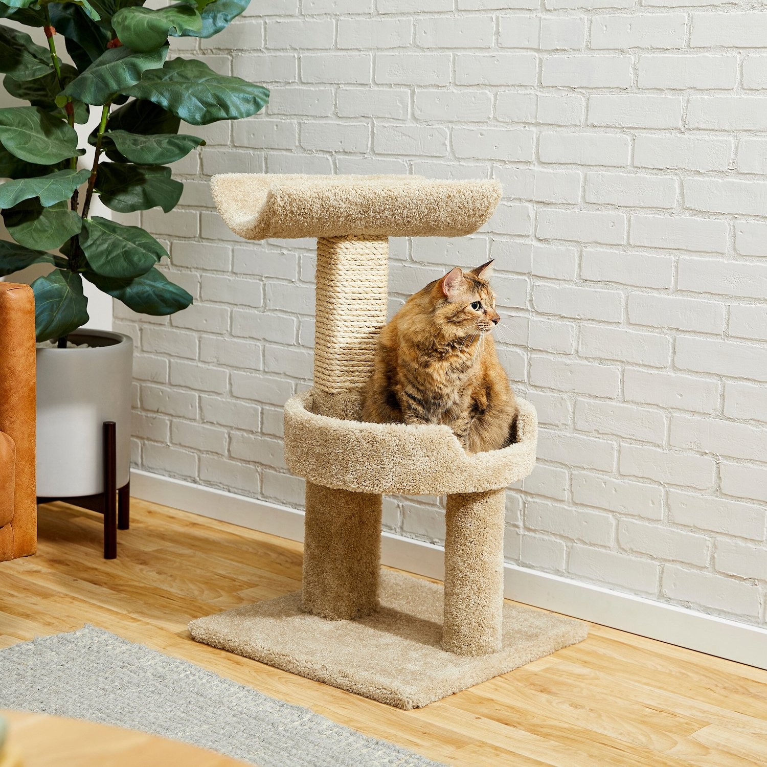 AIKUN Tiger Tough Cat Tree Furniture Condos For Cats And Kittens Gray Platform