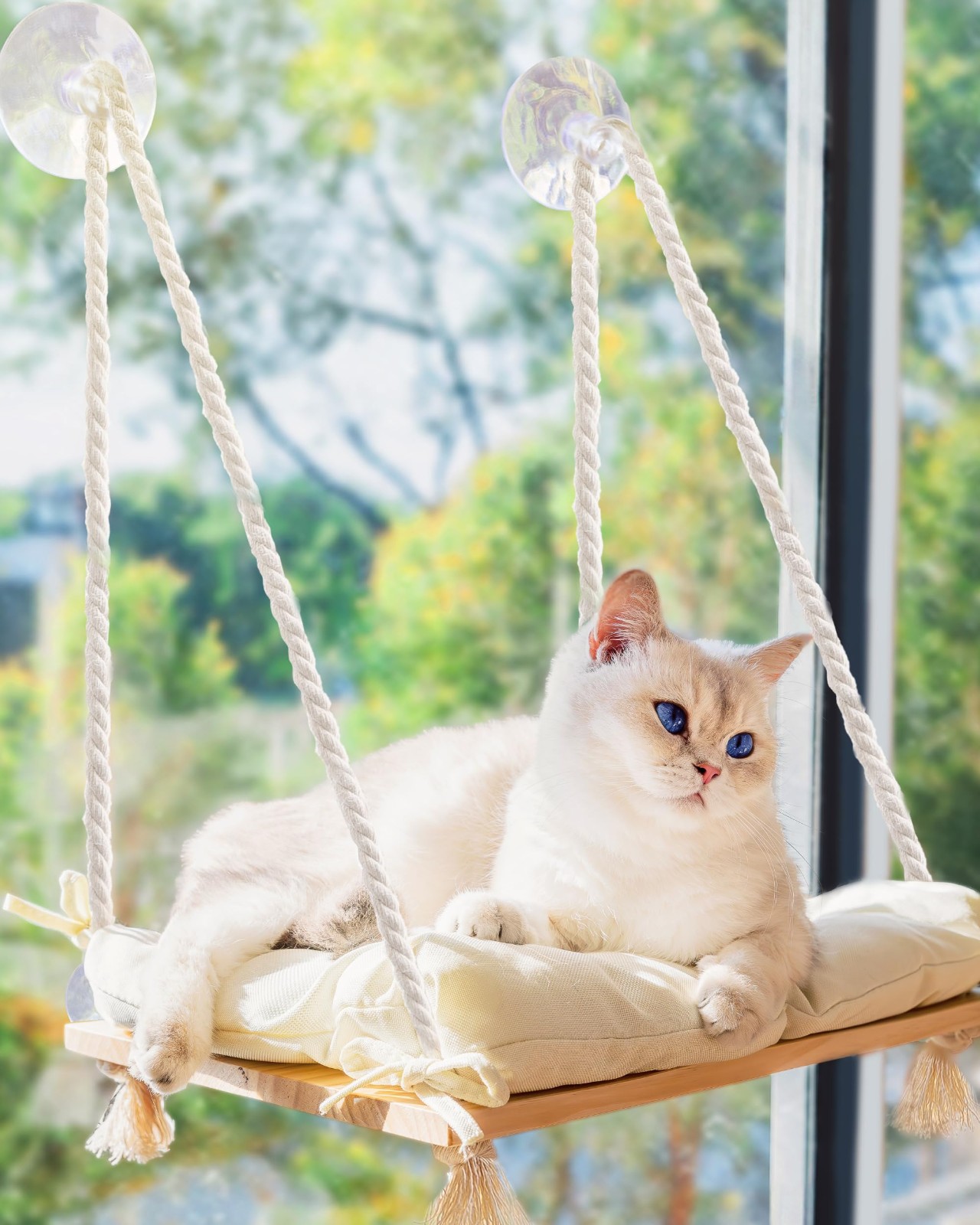 STAR Cordless Cat Window Perch, Cat Hammock for Wall with 4 Strong Suction Cups, Solid Metal Frame and Reversible Cover, Foldable Cat Beds for Indoor Cats (Medium-White)