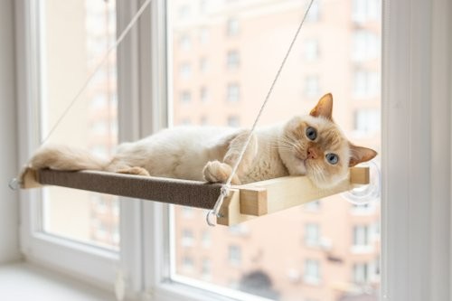 High-Quality Cat Bed | Space-Saving & Easy to Install | Perfect Resting Spot for Your Furry Friend