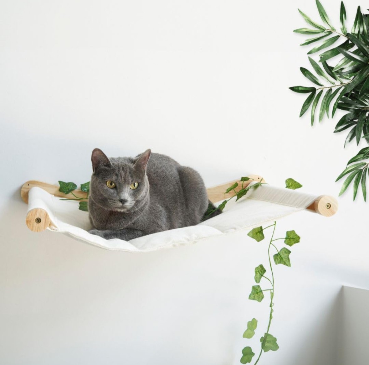 STAR Cordless Cat Window Perch, Cat Hammock for Wall with 4 Strong Suction Cups, Solid Metal Frame and Reversible Cover, Foldable Cat Beds for Indoor Cats (Medium-White)